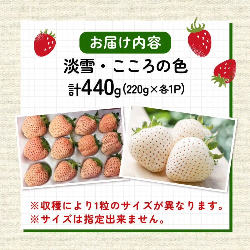 【2027年2月以降順次発送】淡雪・こころの色 白いちごプレミアム 計440g（220g×2パック）/ 岸川農園 [41ASAG007]