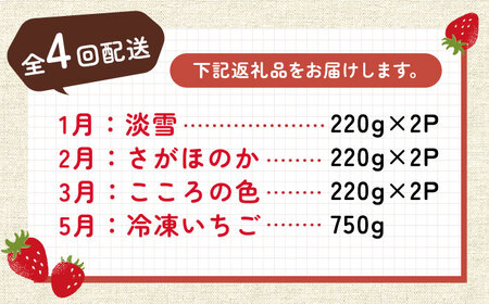 【全4回定期便】岸川農園 超希少品種入り赤白いちご（淡雪・さがほのか・こころの色・冷凍いちご） / 佐賀県 / 岸川農園 [41ASAG008]