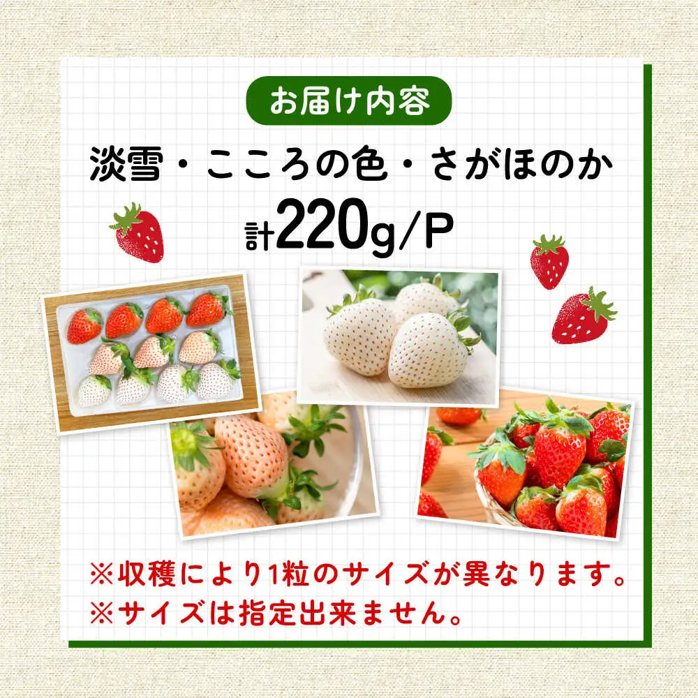 【2027年2月以降順次発送】1パックに3色いちご（こころの色・さがほのか・淡雪）220g×1パック / 佐賀県 / 岸川農園 [41ASAG009]
