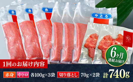 【全6回定期便】対馬産 本マグロ 740g（赤身300g、中トロ300g、切り落とし140g） ≪対馬市≫【桐谷商店】 トロの華 対馬 新鮮 マグロ 赤身 トロ 切り落とし 鮪 刺身[WAQ081]