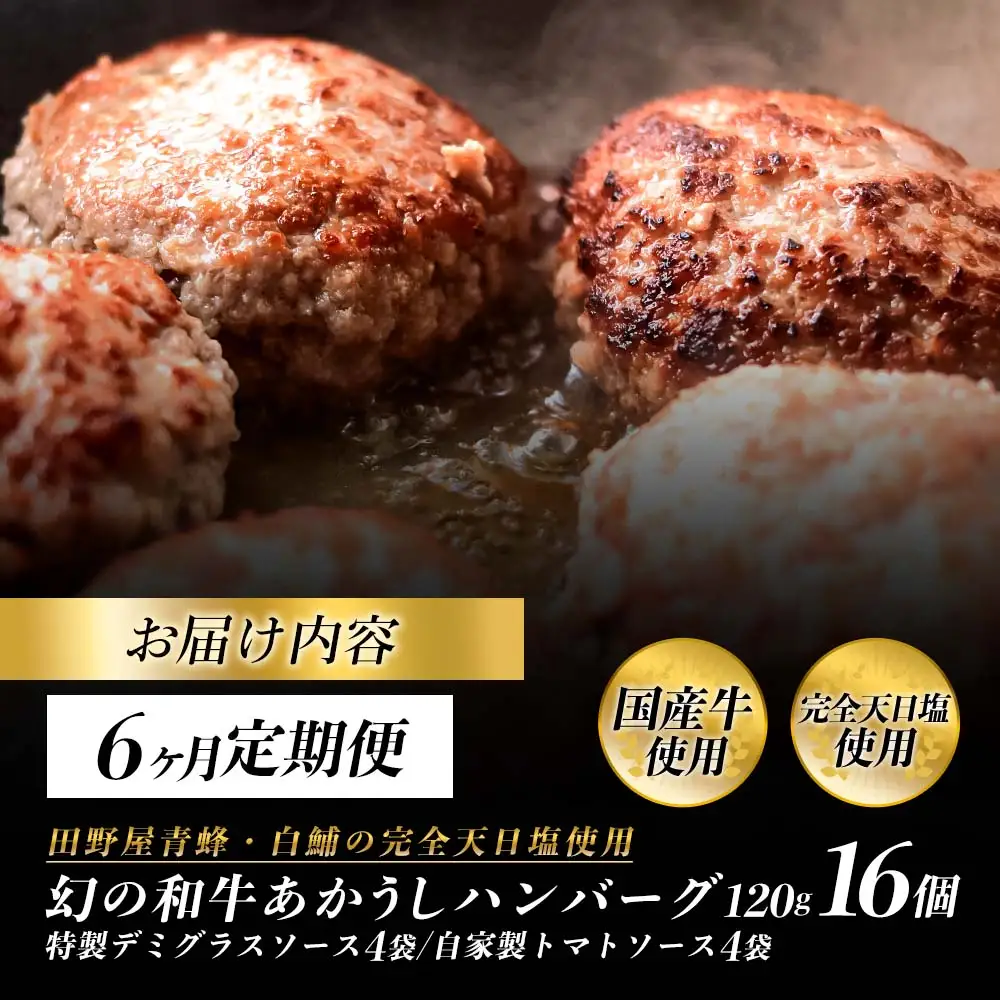 幻のあかうし和牛ハンバーグ 16個入り 6ヶ月定期便 1個120g 特製デミソース トマトソース付き 田野屋青蜂 白鯆 完全天日塩練り込み
