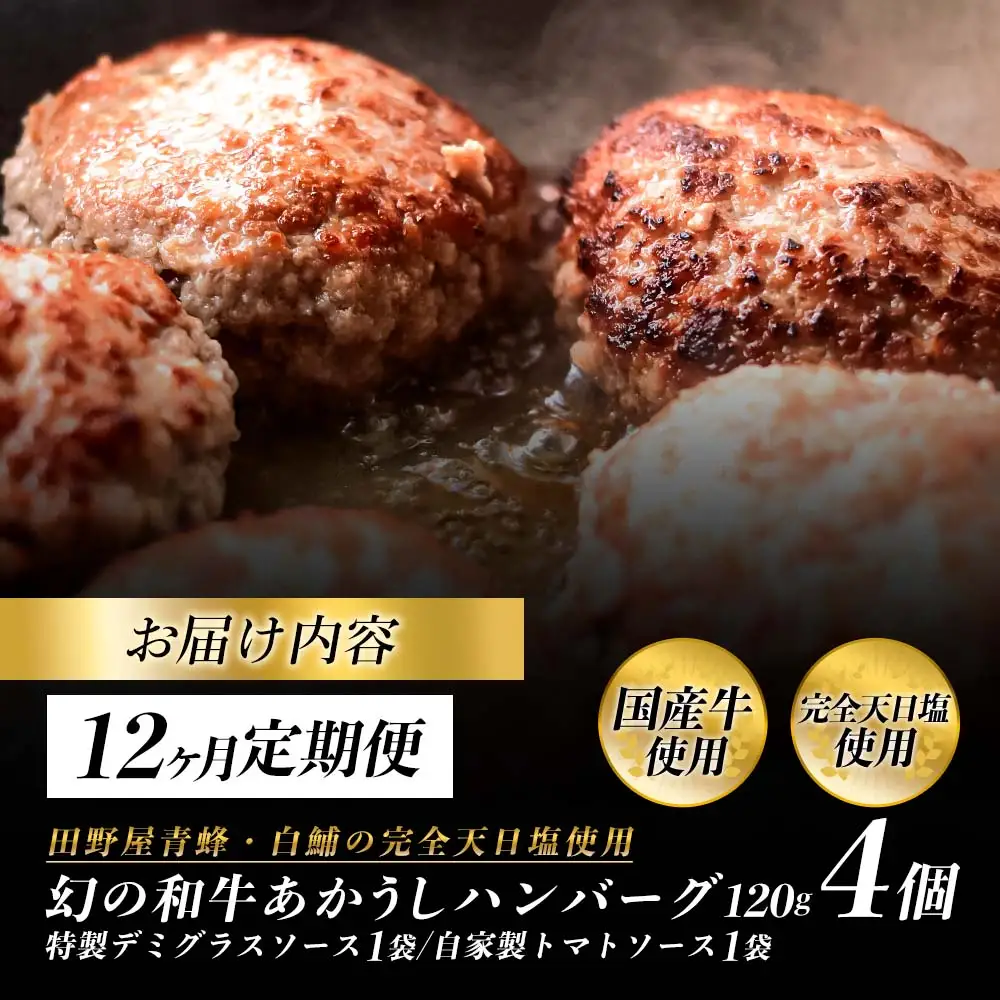 幻のあかうし和牛ハンバーグ 4個入り 12ヶ月定期便 1個120g 特製デミソース トマトソース付き 田野屋青蜂 白鯆 完全天日塩練り込み 