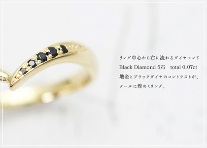 結婚指輪 メンズリング K18YG ブラックダイヤモンド 0.07ct イエローゴールド V字リング ジュエリー マリッジリング 【294-k18ygm】 ALPAZ161