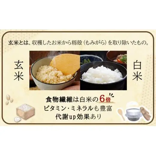 令和7年産!ファーム坂口の特別栽培米 おぼろづき玄米5kg