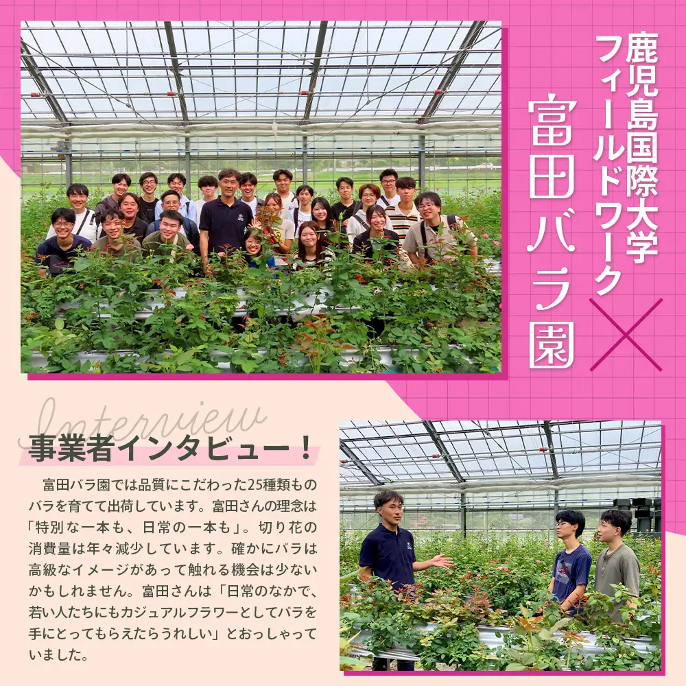【日付指定必須・ギフト対応可】 夏季限定 ばら農家直送！バラ花束18本以上お届け(赤系) TB-1│ローズ 新鮮 花 フラワー 花束 ばら 薔薇 バラ 誕生日 記念日 結婚祝い ギフト プレゼント お祝い 贈り物 贈答 鹿児島県 南大隅町 富田バラ園