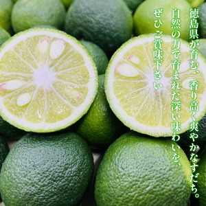 【2026年8月下旬発送】すだち 1kg 露地栽培 徳島県産 旬 スダチ 柑橘 酢 ビネガー 焼き魚 果汁 鮭 サーモン さば