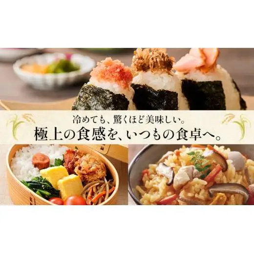 令和7年産!ファーム坂口の特別栽培米 おぼろづき精米 10kg(5kg×2)