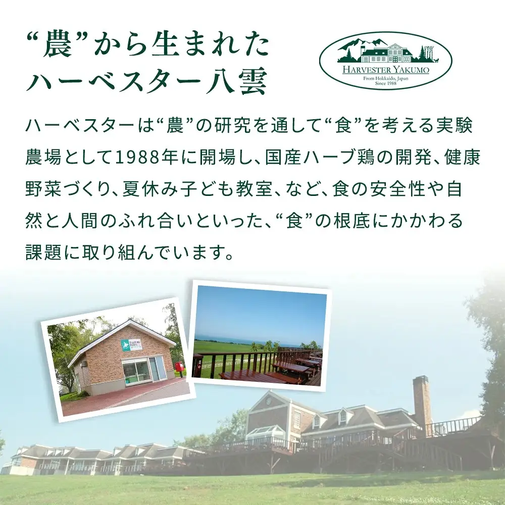 ハーベスター八雲　ピザ工房 噴火湾産ベビーホタテとホエー豚ベーコンのバジルピザ 1枚