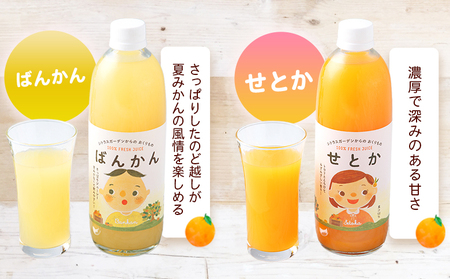 ＜マルワフルーツ柑橘アソート 100％ストレート果汁ジュース 500ml×8本＞ 詰め合わせ セット スイーツ 果物 フルーツ みかん オレンジ 柑橘 清見 でこひめ 河内晩柑 伊予柑 せとか 特産品 愛媛県 西予市【常温】『1か月以内に順次出荷予定』UUB0075