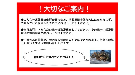 B030 活きあいおえび1600g（800g×2）（35～64尾）
