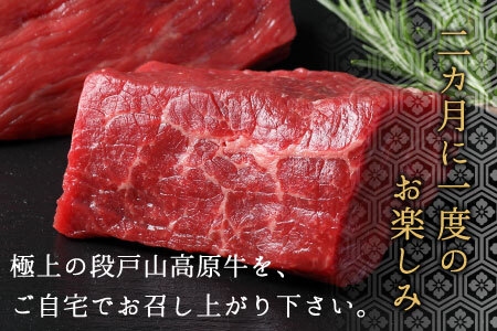 定期便限定部位が入った！全6回 段戸山高原牛 贅沢定期便 ロース サーロイン サーロインステーキ ハンバーグ すき焼き しゃぶしゃぶ サイコロステーキ ランプ モモ モモブロック 塊肉 ヒレ 希少部位 -331