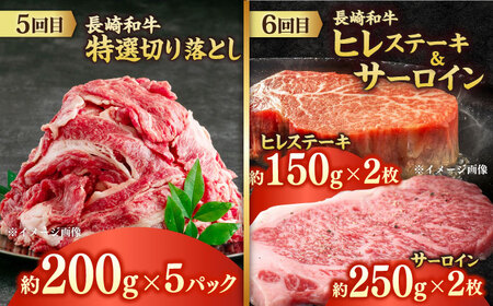 【6回定期便】長崎和牛4名 [ECS076] 牛肉 牛肉定期便