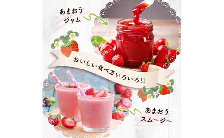 いちご あまおう 福岡県産 いちご【500g 2パック】【先行予約】