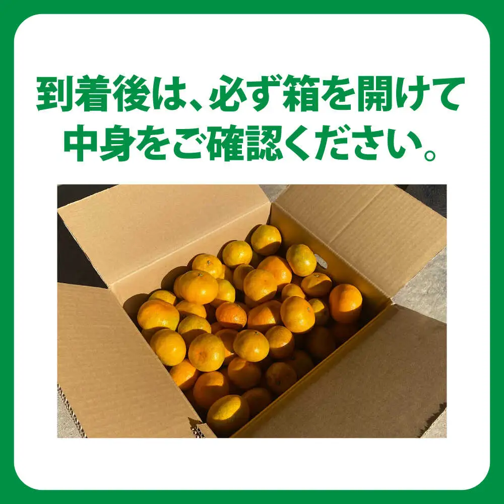 訳ありみかん 5kg 原口みかん [OBP002] 訳あり みかん