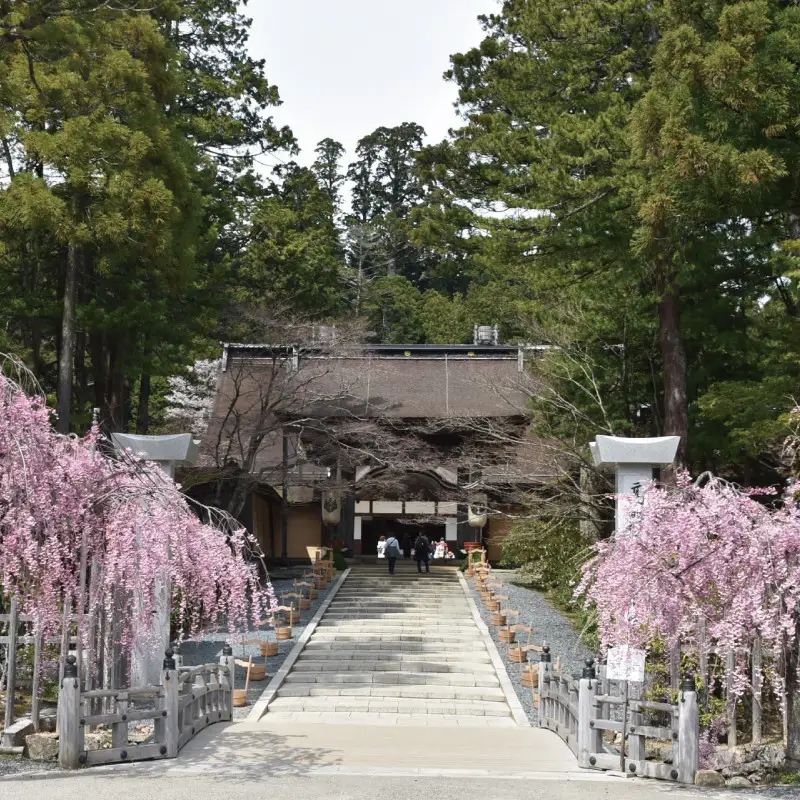 ＜世界遺産高野山＞ 宿坊 宿泊割引チケット 3,000円分