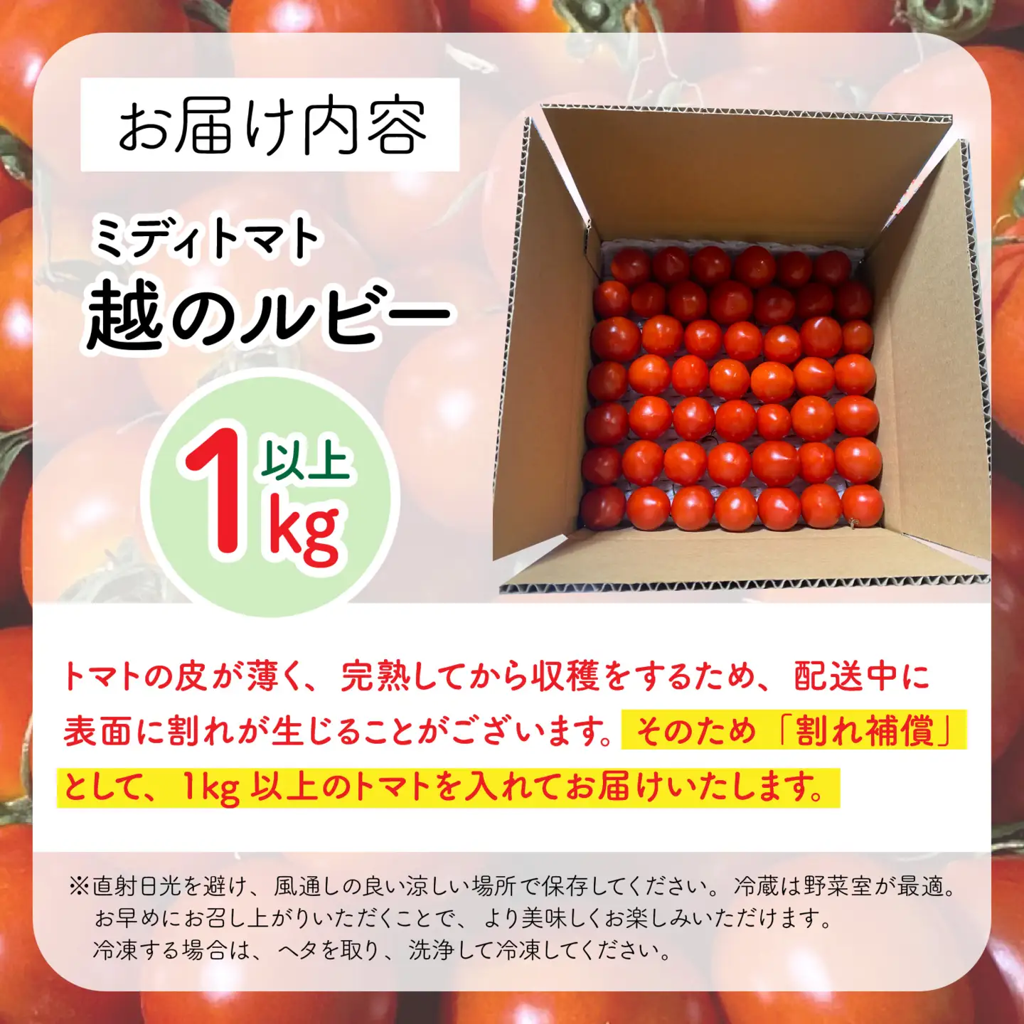 【先行予約】甘くて皮が薄く食べやすい　福井市産ミディトマト『越のルビー』1kg以上【2026年9月中旬より順次発送】[A-180002]/ トマト