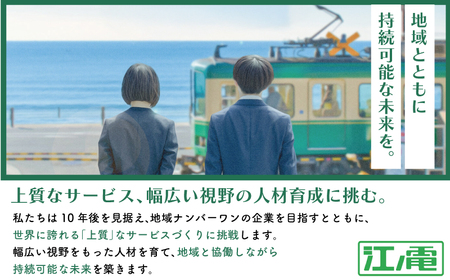 ミニピュー 江ノ電 3個 セット 玩具【 玩具 】