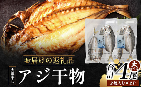 鹿児島県産 アジ 干物 大サイズ (2枚×2パック)  ≪合計4枚≫［1枚 約22～25センチ］PT-2 | 開き 大隅干し 冷凍 国産 鯵 ひもの 海鮮 新鮮 瞬間冷凍 産地直送 鹿児島県 南大隅町 ピットスリー