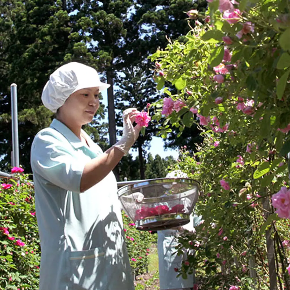 秋田薔薇園産 ガリカ薔薇ジャム 150g×2個 ローズメイ