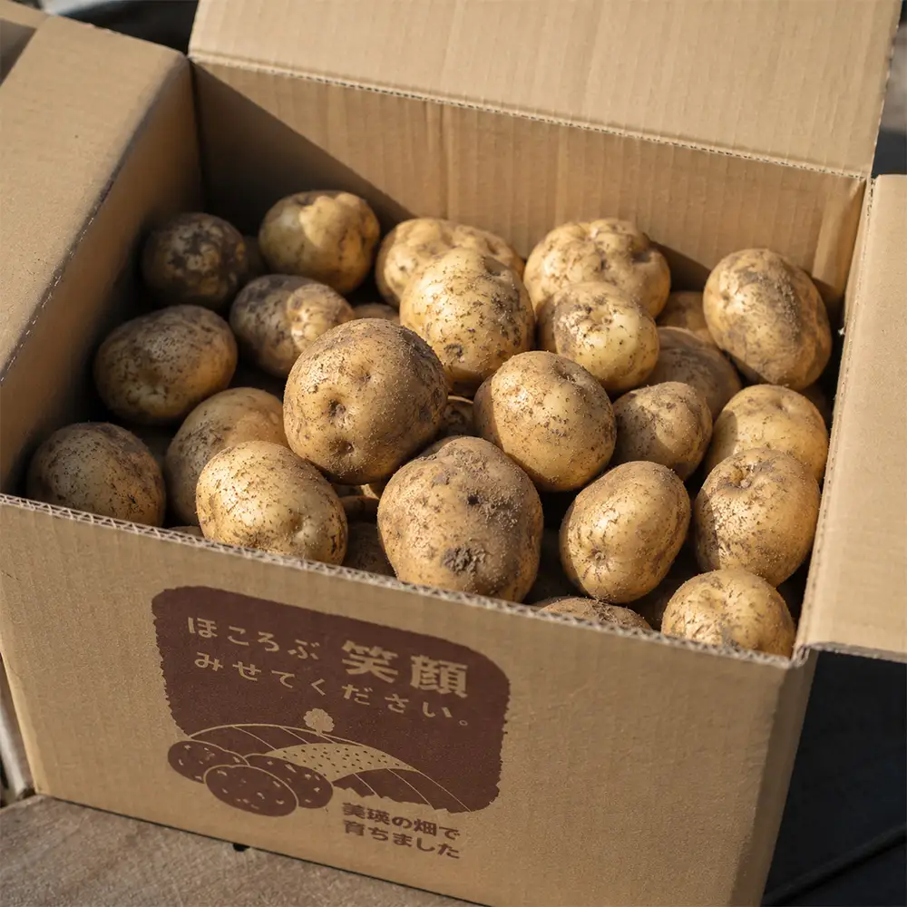 じゃがいも 【令和８年産予約受付】 北あかり10kg  じゃがいも 北海道 [010-214]