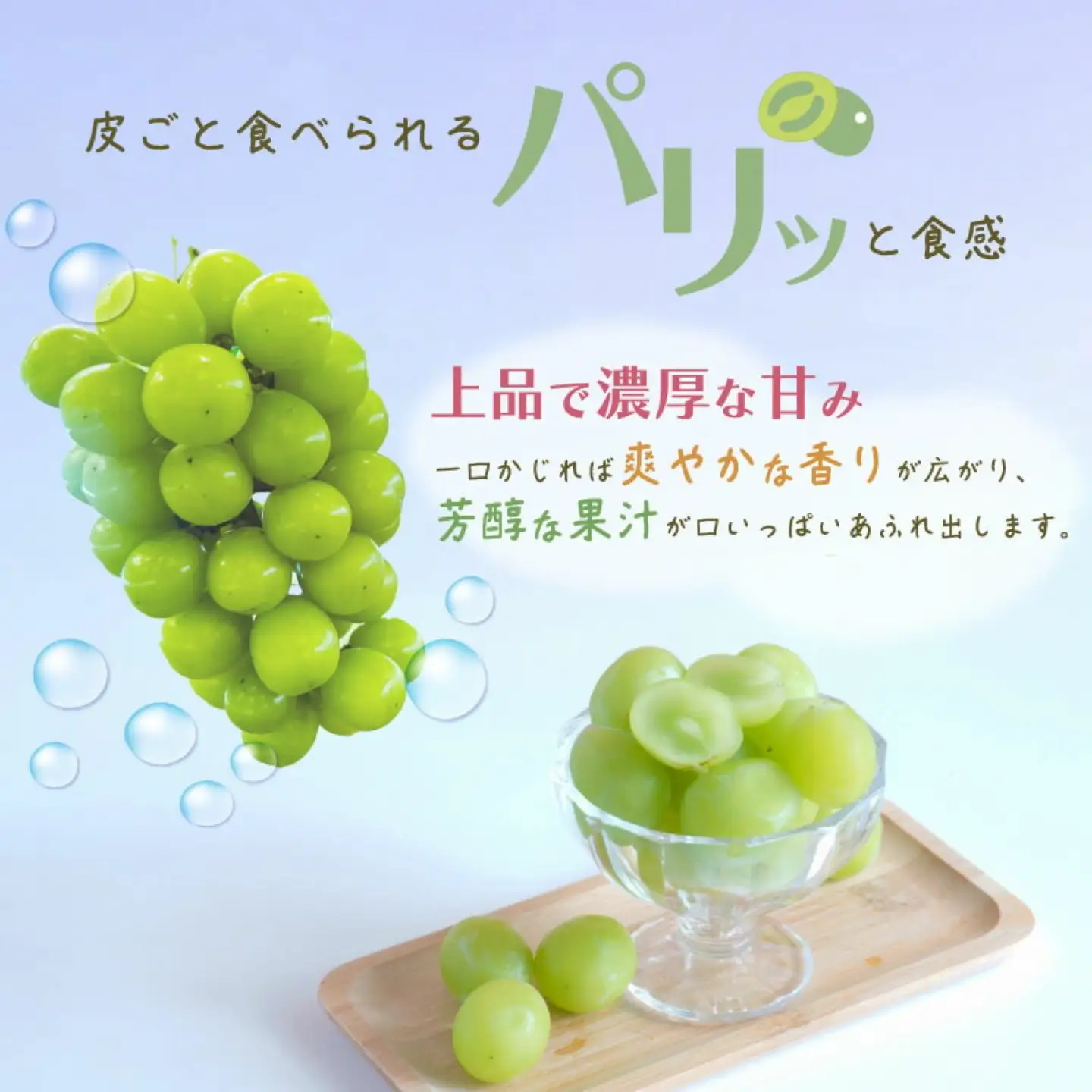 ご家庭用つぶつぶ　シャインマスカット（約1.0kg）｜シャインマスカット 