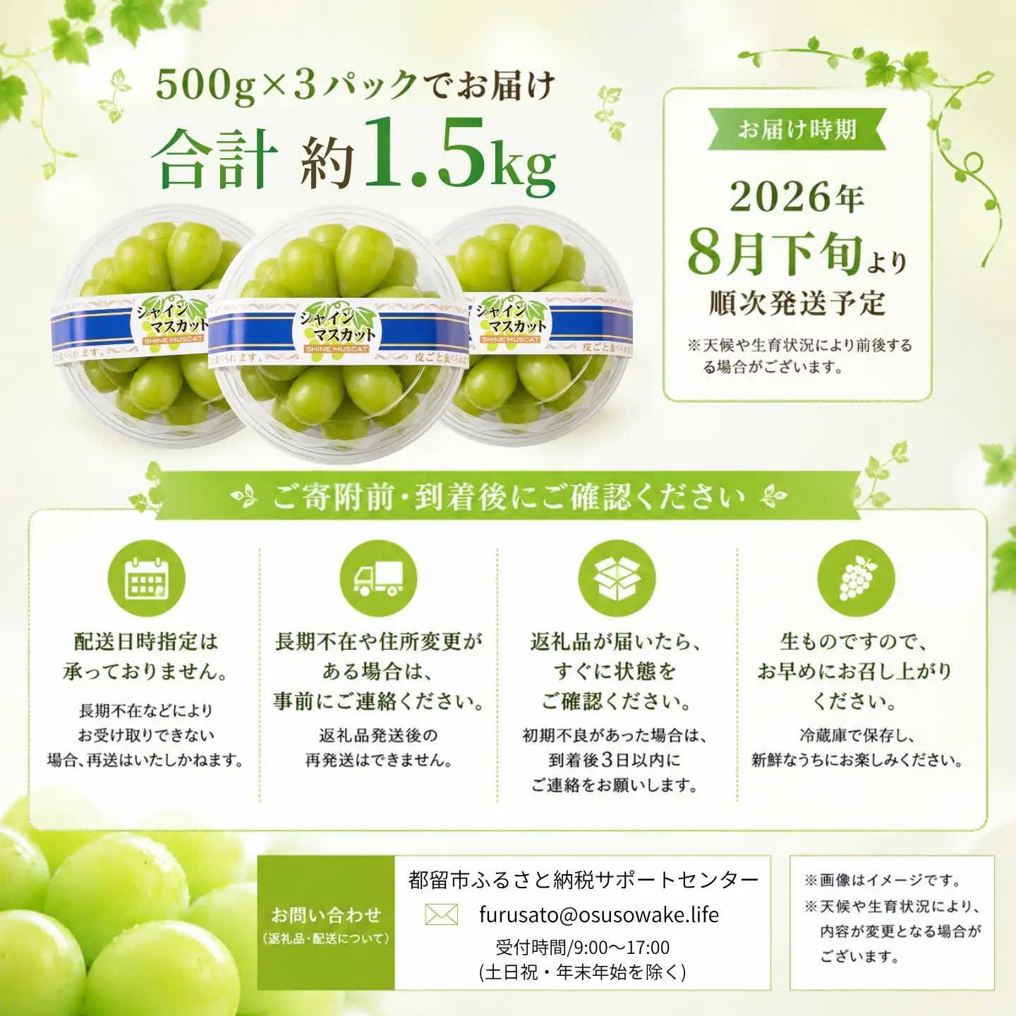 シャインマスカット（約1.5kg）【2026年先行予約】｜シャインマスカット フルーツ 【ふるなび限定】ご家庭用つぶつぶ　FN-Limited-SP
