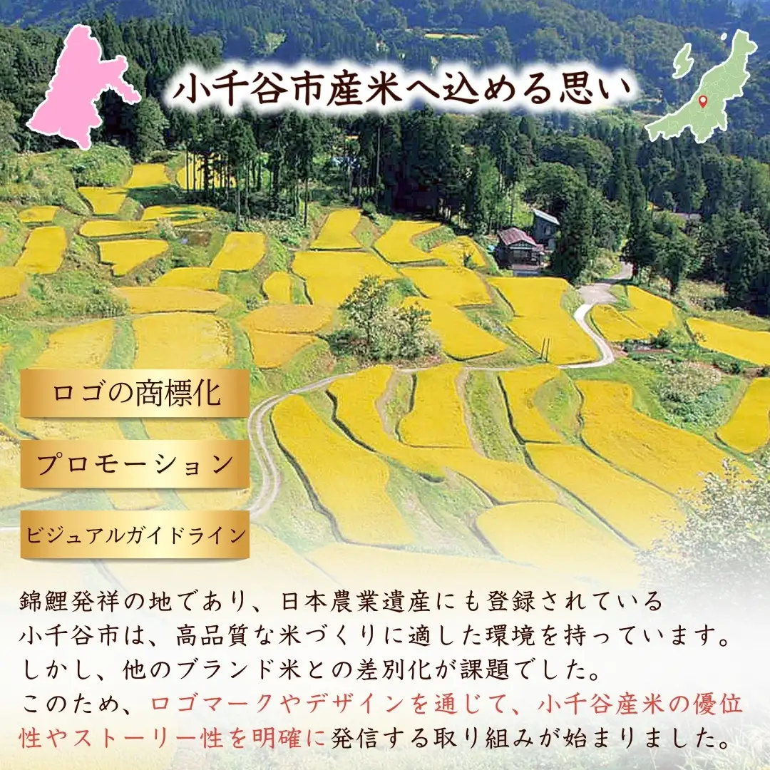 コシヒカリ 15kg 錦の実り 特Aランク 小千谷市ブランド認証 | 5キロ×3回 毎月 定期便 新潟県 魚沼 令和7年 コシヒカリ