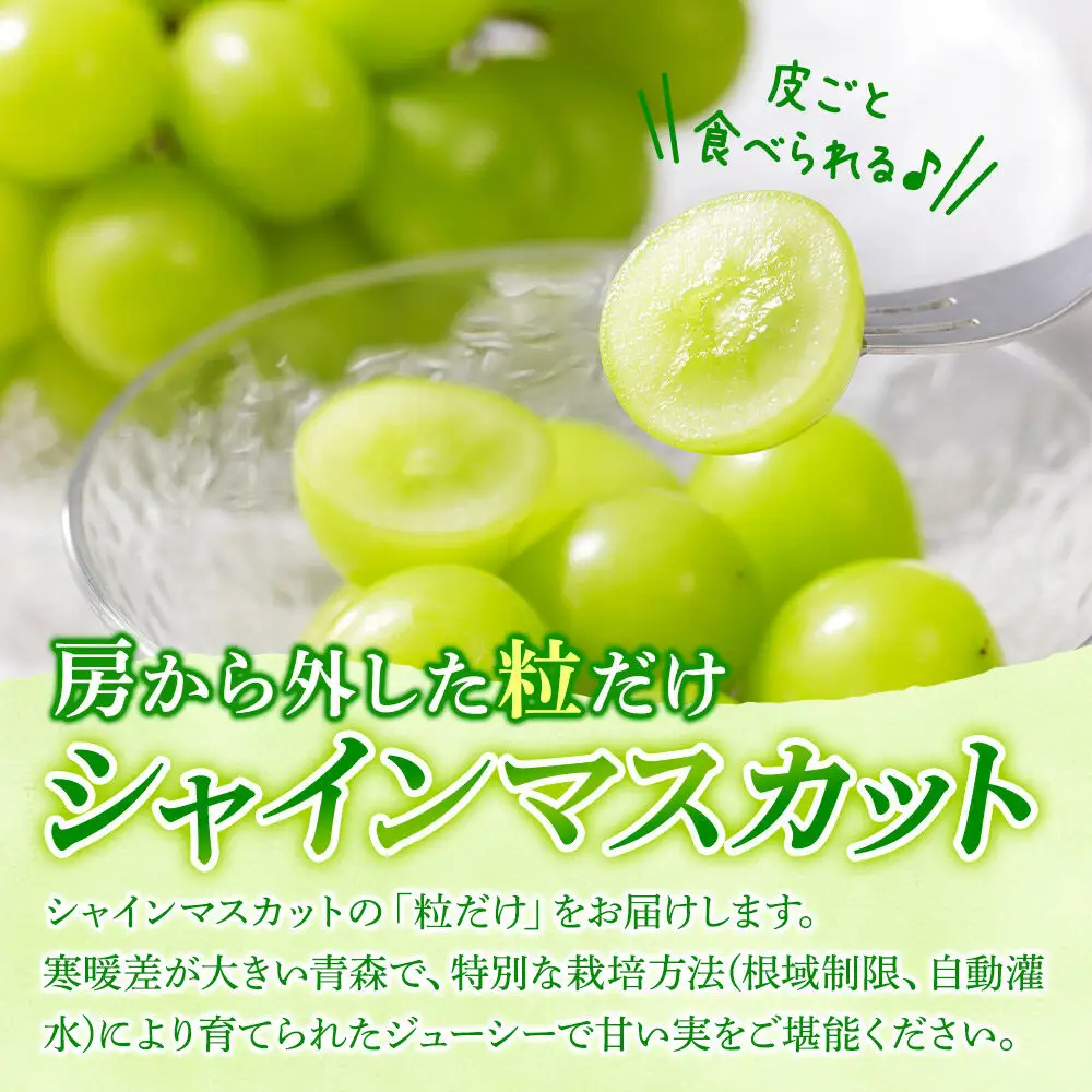 【26年9月～発送】【訳あり】 房から外した粒だけシャインマスカット1kg（500g×2パック） ぶどう フルーツ 果物 ブドウ 葡萄 グレープ くだもの 産地直送