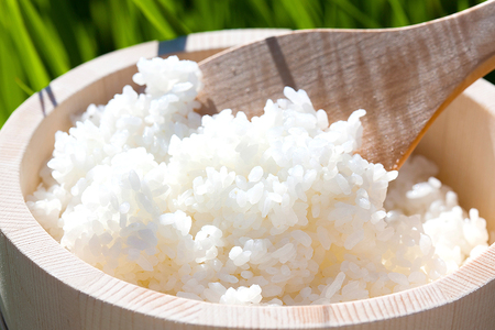 【令和7年産】こしひかり「やとさと」3kg 有機米 　精米　コシヒカリ 白米 お米 こめ 有機栽培 減農薬 精米 産地直送 ごはん ご飯 炊きたて 有機 米 ストック用 家庭用 ご自宅用 茨城県 石岡市 (A37-001)