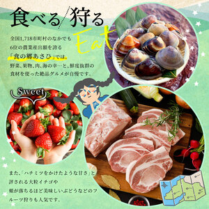 さば 味噌煮 2パック 【 さば 】