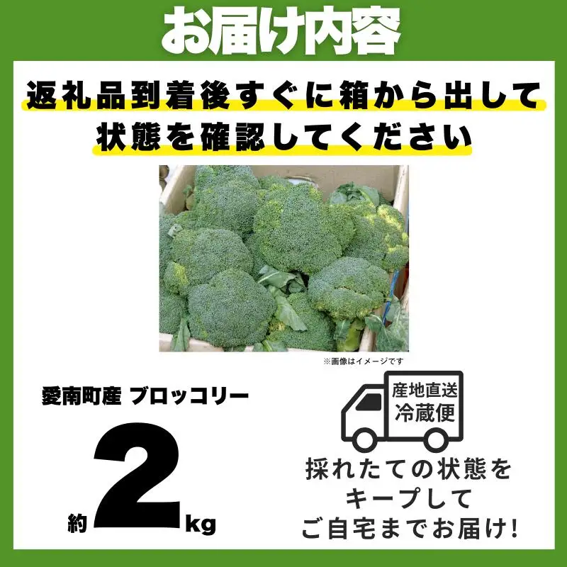 【先行予約】収穫当日発送 ブロッコリー 約2kg 朝どれ ブロッコリー 愛なんよ