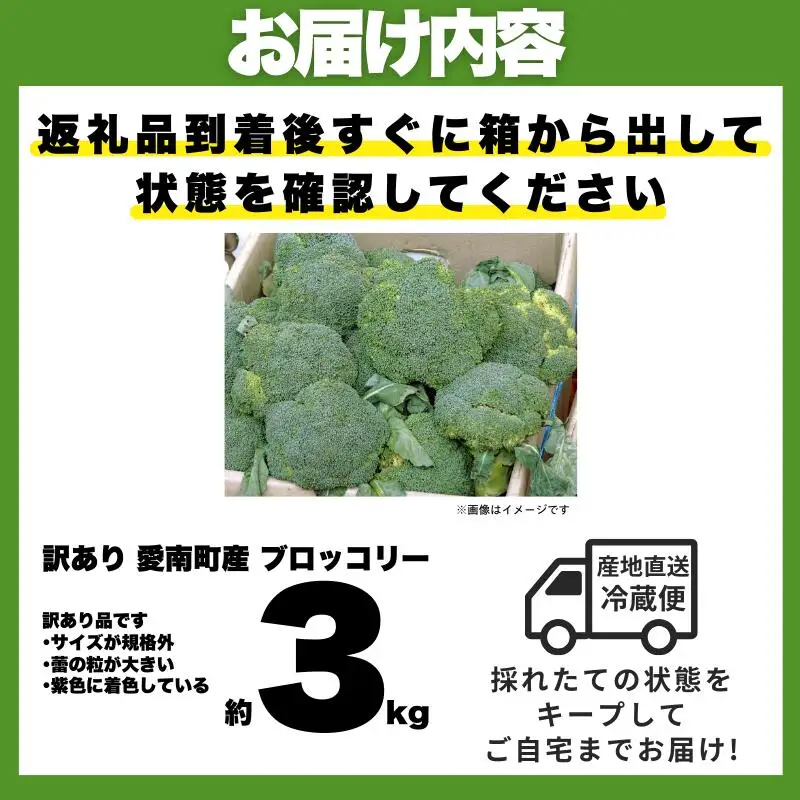 【先行予約】収穫当日発送 ブロッコリー 約3kg 朝どれ 訳あり ブロッコリー 愛なんよ