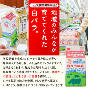 1011.大山おいしいギフトミルク＆のむヨーグルト
