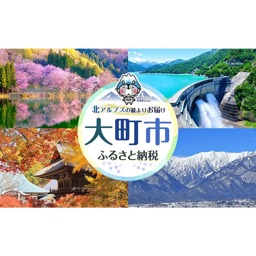 2026-2027 Hakuba Valley 全山共通1日リフト券 大人5枚 | 白馬 バレー リフト券 長野 スキー スノボ