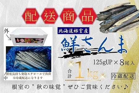 【北海道根室産】鮮さんま8尾入(計1kg) G-50011