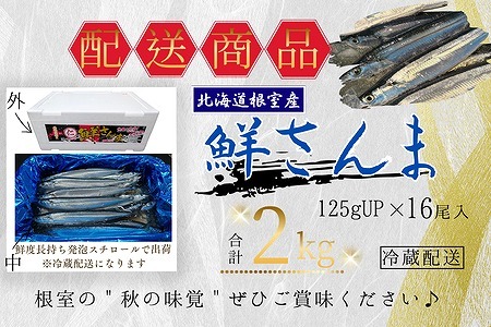 【北海道根室産】鮮さんま16尾入(計2kg) A-50020