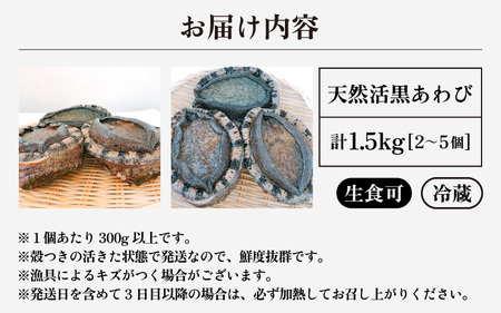 【先行予約】天然 活黒あわび 計1.5kg (2～5個) 特大サイズ【2027年4月より順次発送予定】期間限定 黒あわび [m17-o004_04]