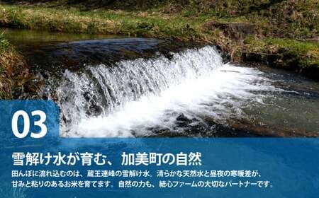 【新米予約】ひとめぼれ 無洗米 10kg ｜ ひとめぼれ