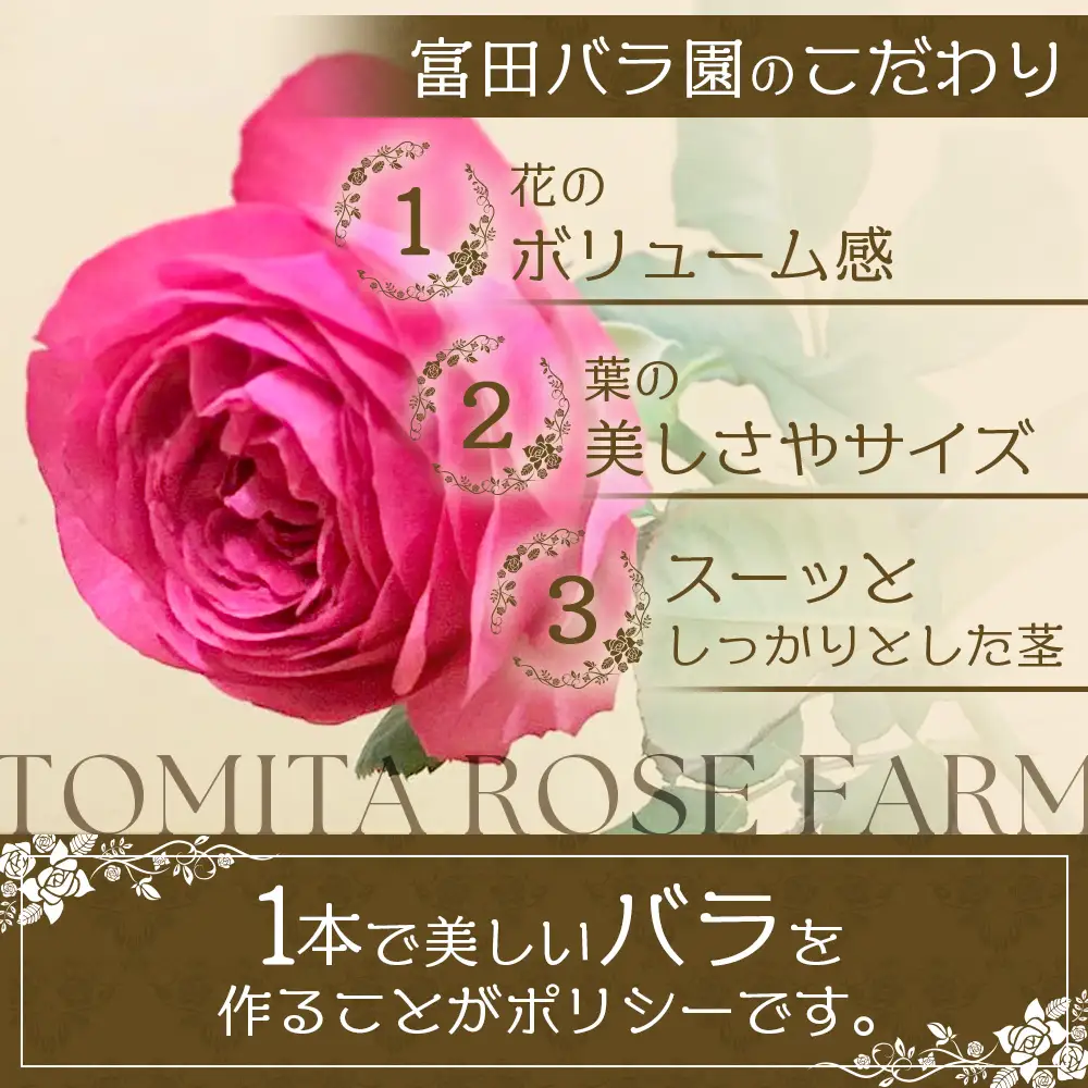 【日付指定必須・ギフト対応可】 夏季限定 ばら農家直送！バラ花束40本以上お届け(色はおまかせ) TB-8│ローズ 新鮮 花 フラワー 花束 ばら 薔薇 バラ 誕生日 記念日 結婚祝い ギフト プレゼント お祝い 贈り物 贈答 鹿児島県 南大隅町 富田バラ園