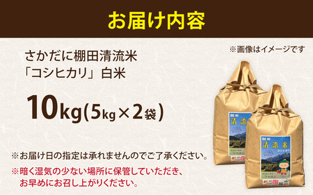 【令和7年産 新米】【福井県大野市】さかだに棚田清流米！(コシヒカリ)10kg「今話題の、あのバンドのロケ地！」