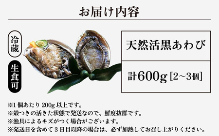 【先行予約】天然 黒あわび 計600g (2～3個) 大サイズ 【2027年3月より順次発送予定】 鮮度抜群 黒あわび [m17-g003_03]