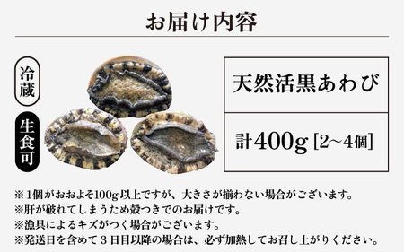 【先行予約】天然 黒あわび 計400g (2～4個) 小サイズ 【2026年11月中旬以降順次発送予定】鮮度抜群 日本海若狭湾  黒あわび  [m17-d005_99]