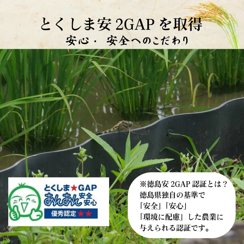 令和8年産　新米 コシヒカリ 白米 5kg 天皇献上米 (栽培期間中）化学肥料・農薬不使用米 小松島市