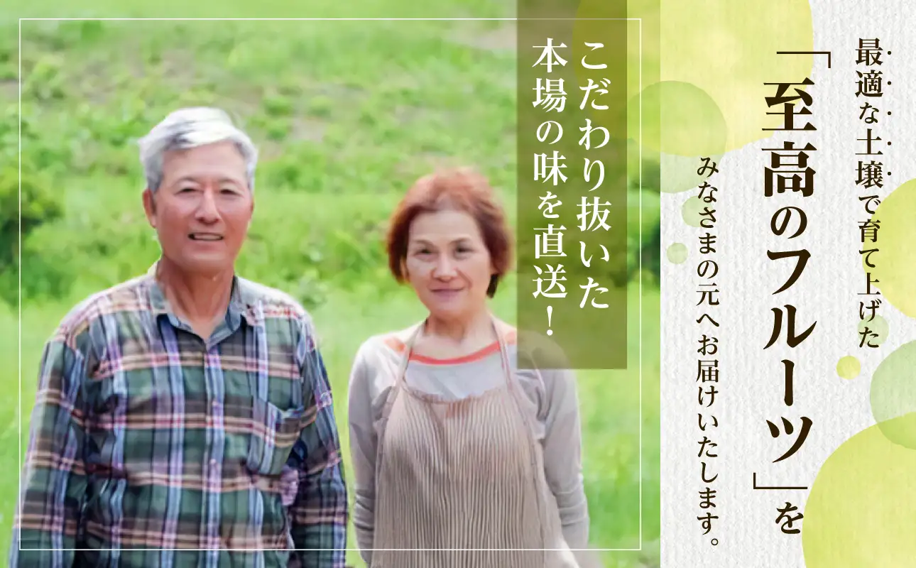 【2026年発送分　先行受付開始！】びぜん葡萄「シャインマスカット」（ハウス栽培）約2kg入（令和8年8月中旬～9月中旬頃発送）【葡萄 シャインマスカット】
