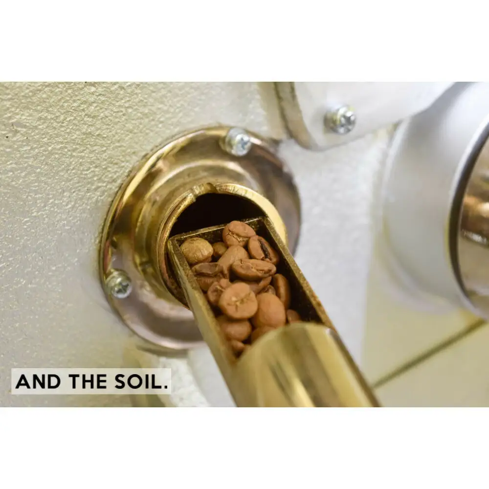 【福岡高砂】AND THE SOIL.オリジナル焙煎ディカフェオーガニックコーヒー豆MEX1000g 深煎り500g(200g×2 100g×1) 中煎り500g(200g×2 100g×1)