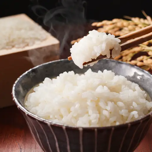 令和7年産 ヒノヒカリ 玄米 5kg ひのひかり  