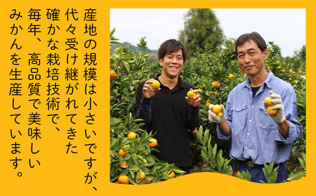 ポンカン 3kg 訳あり 先行受付 山北ぽんかん yk-0082