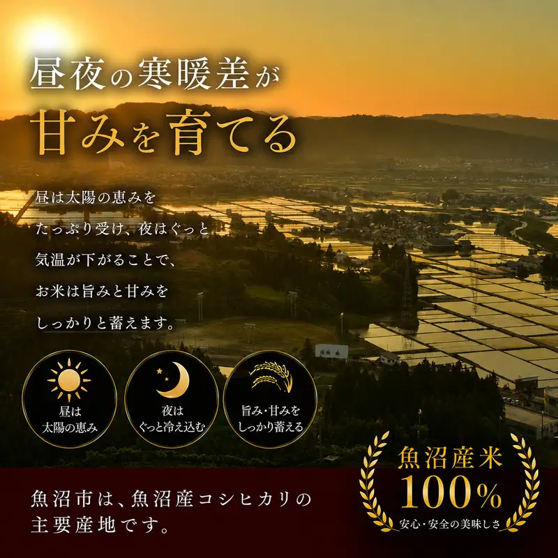 【定期便：精米10kg×12ヶ月】ブランド米    魚沼産コシヒカリ 米 こしひかり 新潟 定期