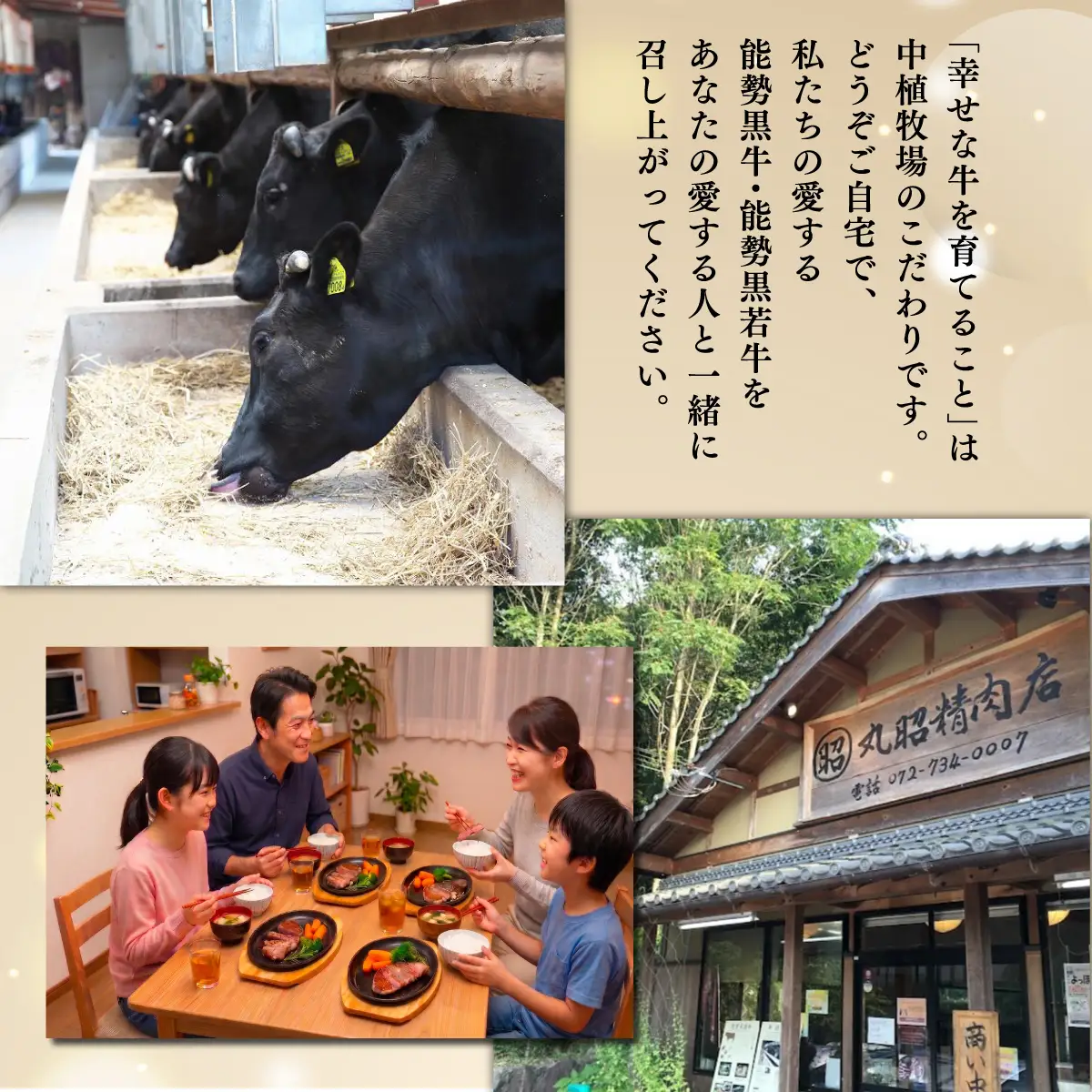 能勢黒牛または能勢黒若牛の厳選ステーキ500g(2?3枚) | 中植牧場 丸昭精肉店 | 牛肉 サーロイン ステーキ 能勢黒牛 能勢黒若牛 濃厚 柔らか 国産 おすすめ 送料無料 贈答 ギフト | 大阪府 能勢町 送料無料