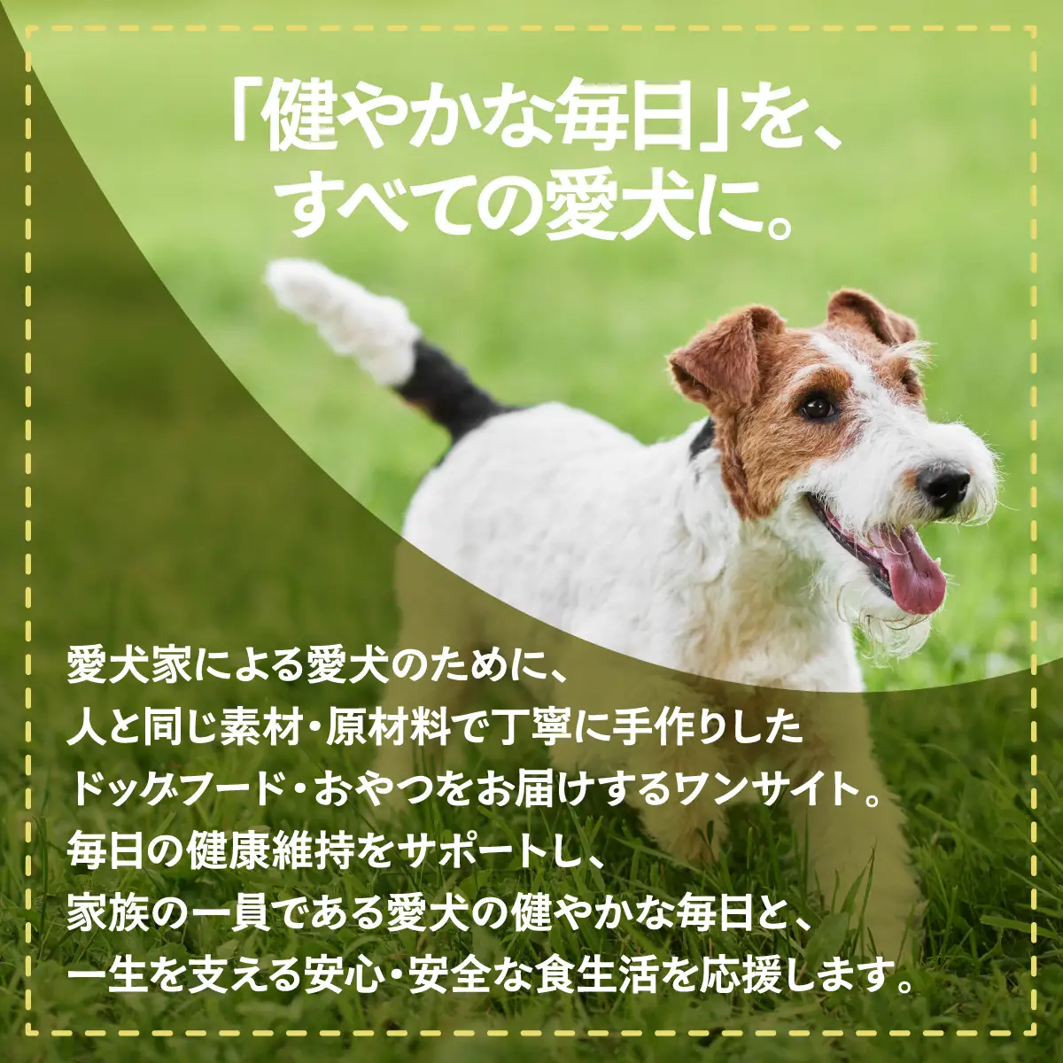 【無添加・ドッグフード】 鴨のボーンブロス レトルト スープ 480ml (160ml×3袋) | 株式会社wan-site | 国産 手作り 無添加 わんちゃん 犬 ペットフード おやつ ペット用品 ペット ヘルシー 高タンパク 人気 ご褒美 鴨【1497637】